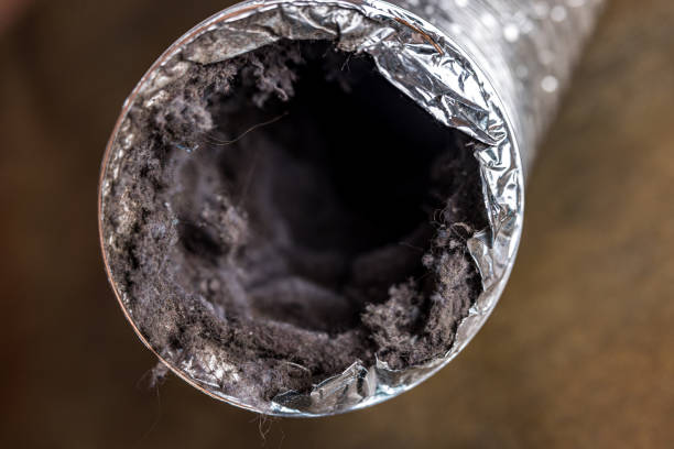 Best Dryer Vent Cleaning in Bowmansville, PA